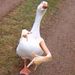 Profile Picture of Corey Poulin (@corey9714) on Pinterest