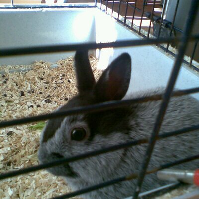 Profile Picture of Julia Henn (@juliahenn2105) on Twitter