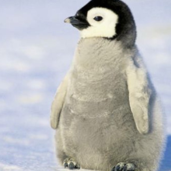 Profile Picture of Arnab Paul (@chronomecompany) on Poshmark