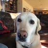 Profile Picture of Doug Wright (@@dougwright19) on Tiktok