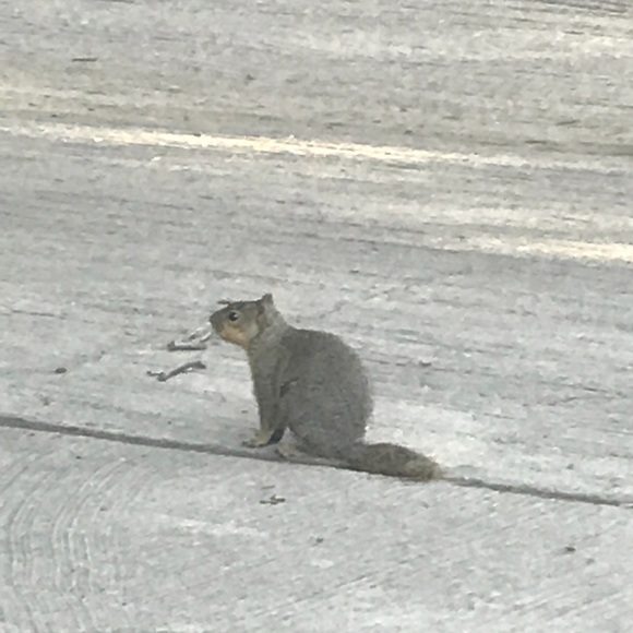 Profile Picture of Sam Alm (@djxunehzjsjene) on Poshmark