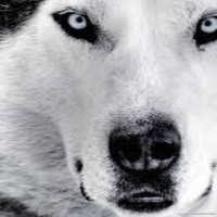 Gabija Mazonaite - Quora Profile Picture of Gabija Mazonaite (@gabija-mazonaite) on Quora