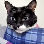 David Menser - Facebook Profile Picture of David Menser (@David-Menser) on Facebook