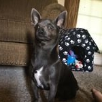 Profile Picture of Charles Gregory Collier (@chimmy_chonga_808) on Instagram