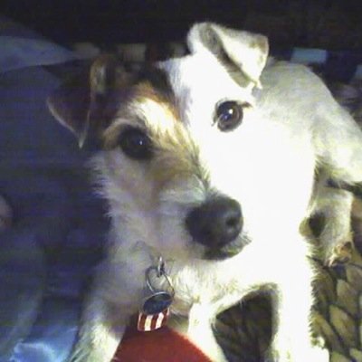 Profile Picture of Eugene Bartlett (@Drdolitle1) on Twitter