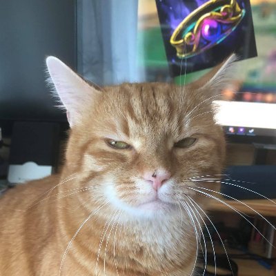 Profile Picture of Robert Papp (@RobertP35621997) on Twitter