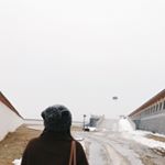 Profile Picture of _verazhang (@_verazhang) on Instagram