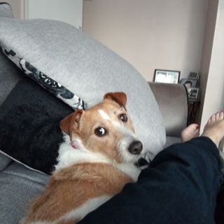 Profile Picture of Josie Mulock (@josie.mulock.5) on Facebook