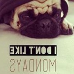 Profile Picture of Bradleybutler06 (@bradleybutler06) on Instagram