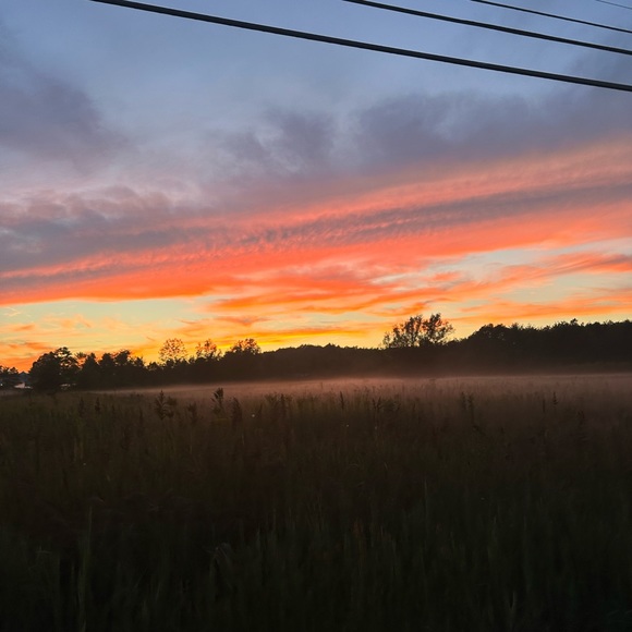 Profile Picture of Taylor Wessell (@taynay2012) on Poshmark