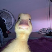 Profile Picture of Jaturaporn Kethom (@jaturapornkethom7138) on Youtube