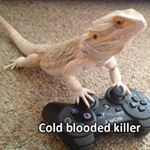 Profile Picture of Kevin Brengle (@videogameplayinglizard) on Instagram