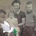 Profile Picture of David Masterton (@masty2020) on Pinterest