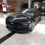 Profile Picture of Paul Ivancik (@paul.ivancik.71) on Facebook