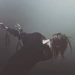 Profile Picture of Tabitha Asher (@tabithaasher) on Instagram