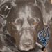 Profile Picture of Brad Hebert (@brad.hebert.549) on Facebook