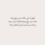 Profile Picture of Intesar Abu Hamdan (@intesarabuhamdan) on Instagram