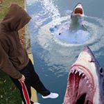 Profile Picture of @AlexStover (@alexstoverphotos) on Instagram