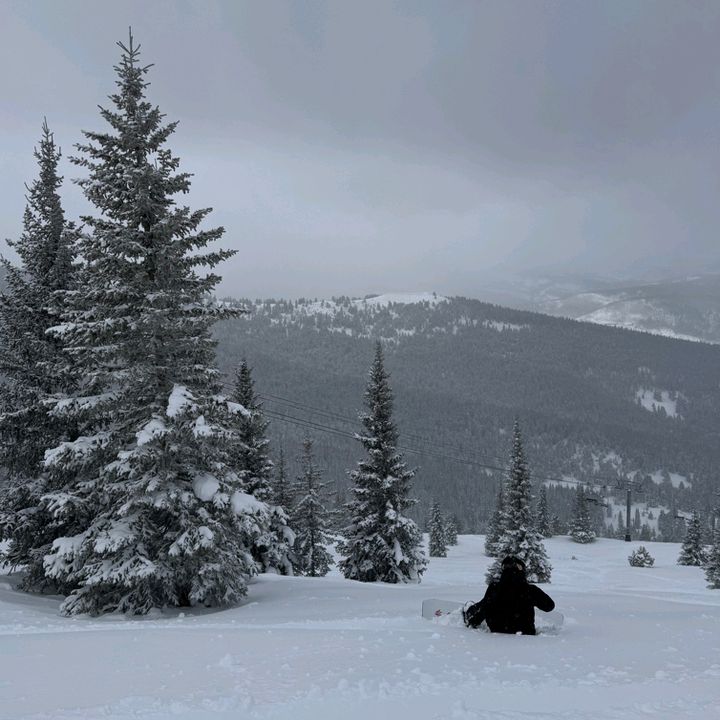 Profile Picture of nicholassacquistaa (@nicholassacquista) on Tiktok