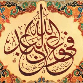 Profile Picture of Jamilah Choudhury (@jamilah8601) on Pinterest
