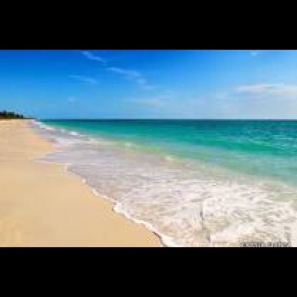 Profile Picture of Kim Holzapfel (@kimholz1) on Poshmark