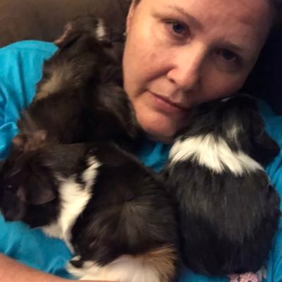 Profile Picture of ✨Dawn Crawford, M.Ed.✨ (@dc4learning) on Twitter