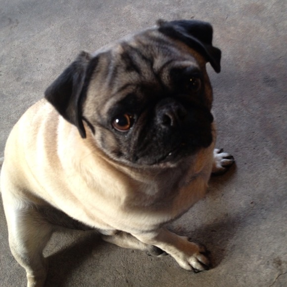 Mary Noyes - Poshmark Profile Picture of Mary Noyes (@schuperstar) on Poshmark