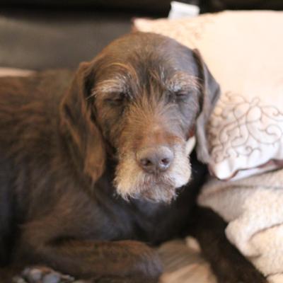 Profile Picture of Heather Strayer (@shelly05242) on Twitter