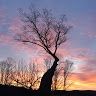 Profile Picture of Andrew Tetreault (@ajtetreau) on Pinterest