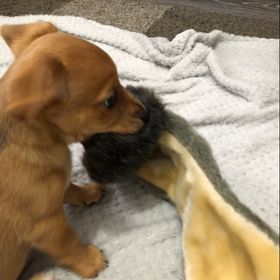 Profile Picture of Thomas Lynagh (@thomaselynagh) on Pinterest