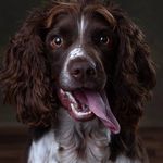 Profile Picture of Rachel Gibbs (@gibbsrachel) on Instagram