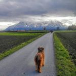 Profile Picture of Michael Schindler (@michael.schindler.92) on Instagram