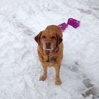 Profile Picture of Alyson Ramsey Ray (@alyson-ramsey-ray) on Quora