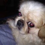 Profile Picture of Becky Stretch (@floydgeoman1) on Instagram