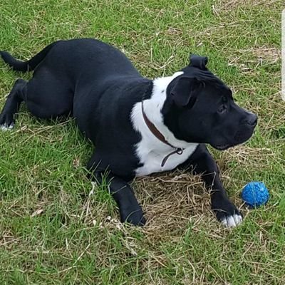 Profile Picture of Mark Cornwell (@MarkCor80226138) on Twitter