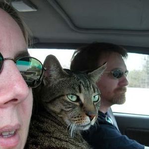 Profile Picture of David Zawistowski (@350526021) on Myspace
