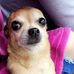 Profile Picture of Ann Sisson (@ann.sisson.984) on Facebook