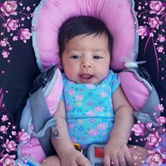 Sarah Flores Razo - Tiktok Profile Picture of Sarah Flores Razo (@sarahfloresrazo) on Tiktok