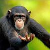 Profile Picture of Monke (@@joshalbertson7) on Tiktok