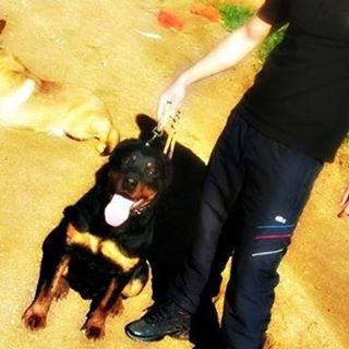 Profile Picture of Mahdi Mimoun (@mahdi.mimoun.18) on Facebook