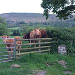 Martin Griffiths - Instagram Profile Picture of Martin Griffiths (@mgriffithsbuildingcontractor) on Instagram