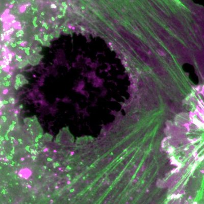 Profile Picture of Roberta Martinelli (@RobyMa30) on Twitter