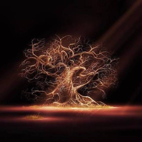 Profile Picture of Brenda Josey moore (@brendamoore2669) on Poshmark