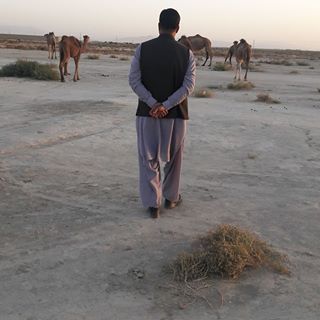 Profile Picture of Sher Ahmed (@Sher-Ahmed) on Facebook