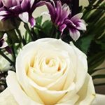 Profile Picture of kc Barron (@marilyn.sumera.31) on Instagram