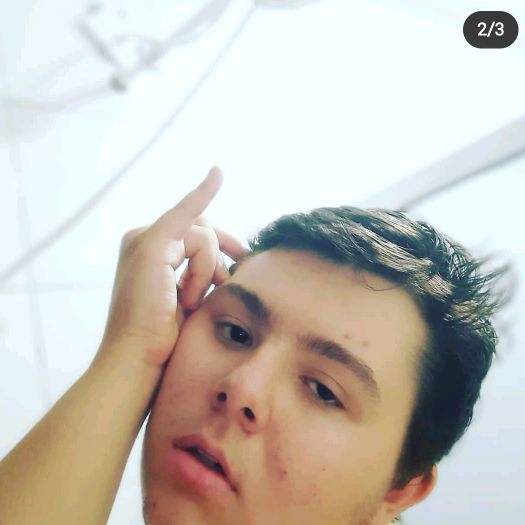 Profile Picture of Gabriel Forest (@gabrielforestoficial) on Tiktok