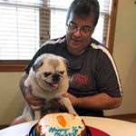 Profile Picture of Chris Gosnell (@chris.gosnell.7) on Instagram