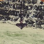 Profile Picture of Ray Schroeder (@bad_hessian) on Instagram