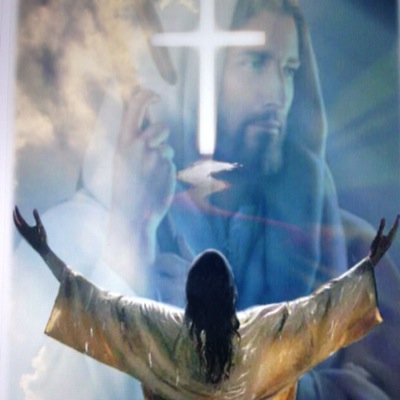 Profile Picture of Joe Gori (@Jgori0616) on Twitter