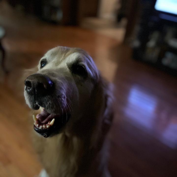 Profile Picture of mwaits (@markwaits1) on Tiktok